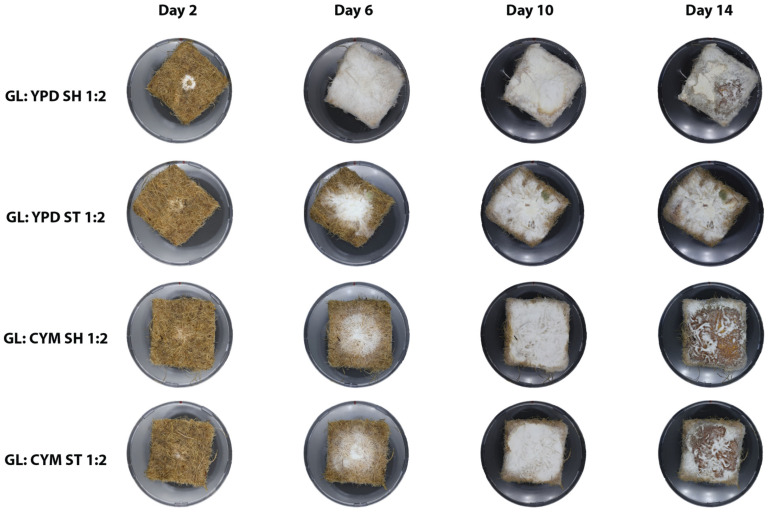 PMC11762511 – biomimetics-10-00033-f006