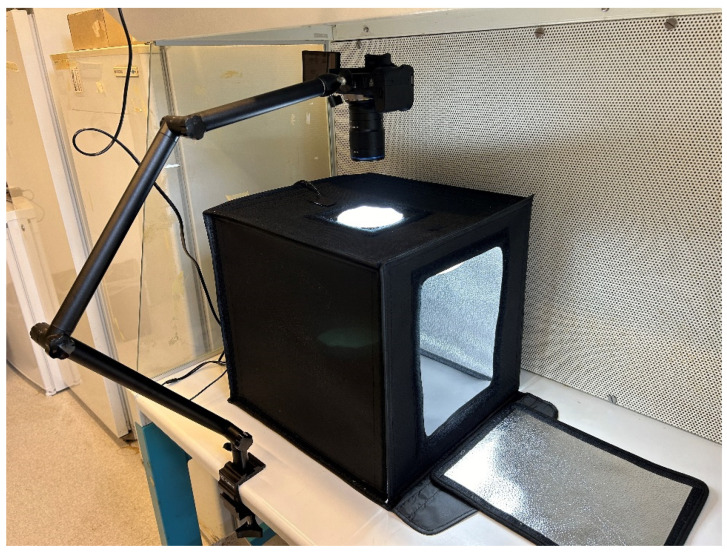 PMC11762511 – biomimetics-10-00033-f0A1