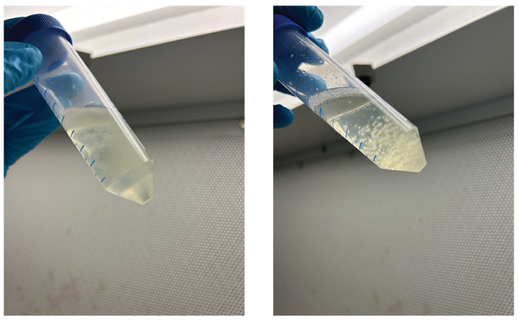 PMC11762511 – biomimetics-10-00033-f0A2