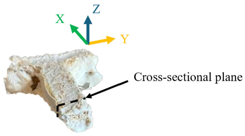 PMC12292789 – biomimetics-10-00441-f008