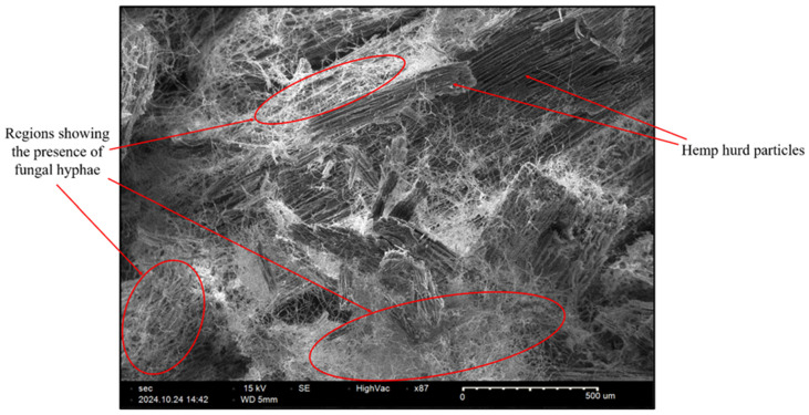 PMC12292789 – biomimetics-10-00441-f012