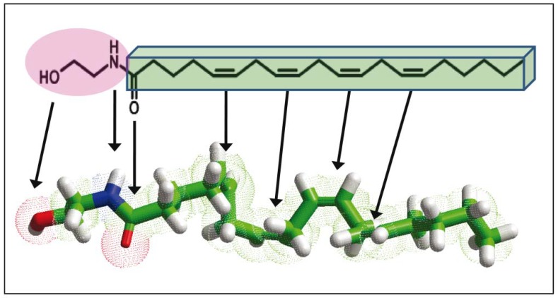 PMC6022874 – biomolecules-08-00031-f001