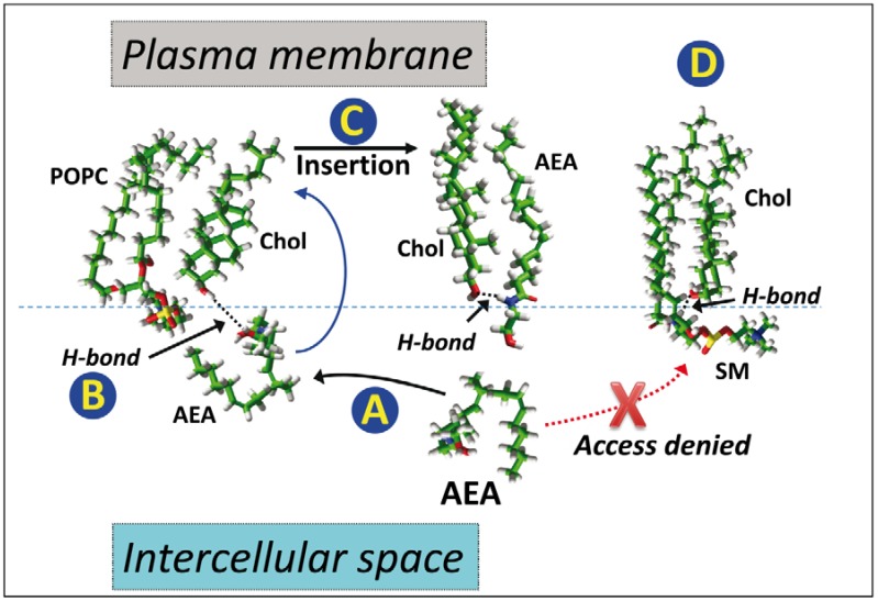 PMC6022874 – biomolecules-08-00031-f006