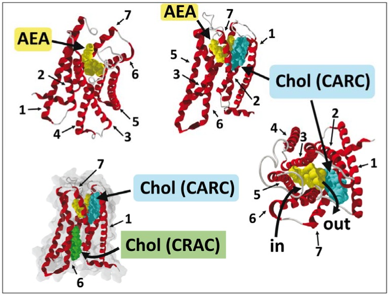 PMC6022874 – biomolecules-08-00031-f007