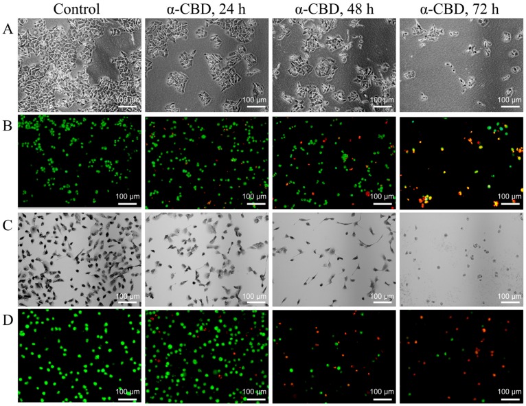 PMC6406568 – biomolecules-09-00045-f003