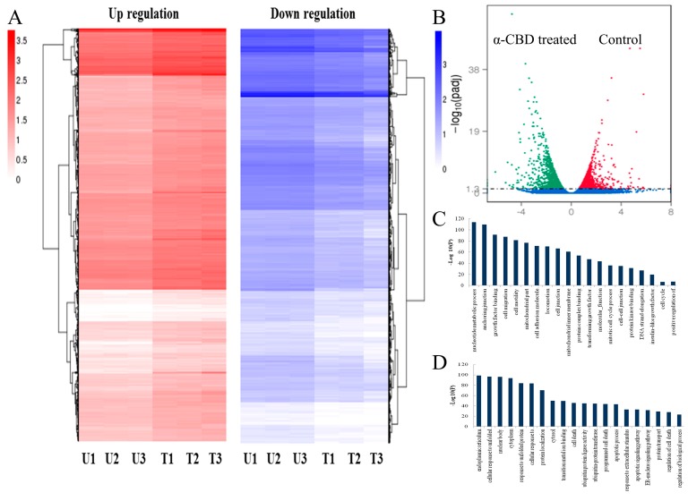 PMC6406568 – biomolecules-09-00045-f005