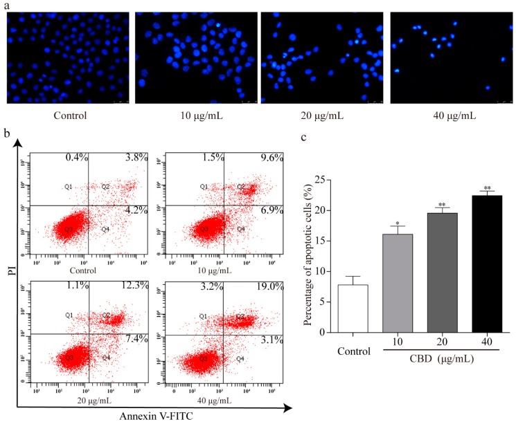 PMC6723681 – biomolecules-09-00302-f004