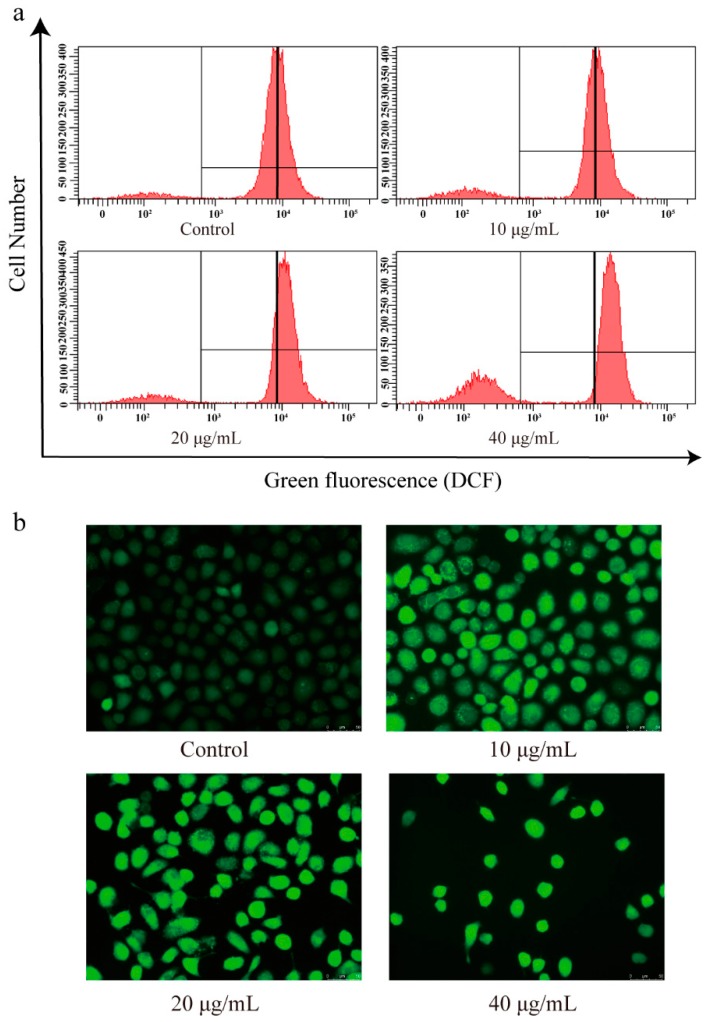 PMC6723681 – biomolecules-09-00302-f007