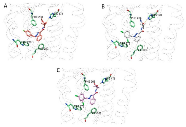 PMC6770484 – biomolecules-09-00492-f008