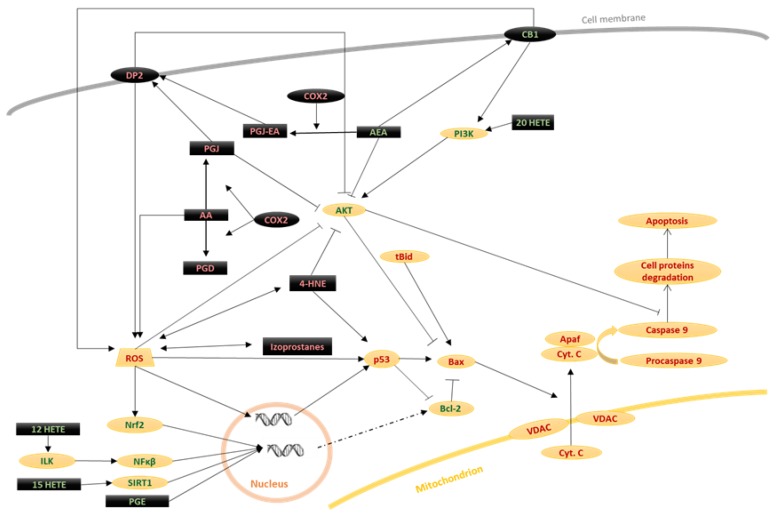 PMC7175142 – biomolecules-10-00402-f003