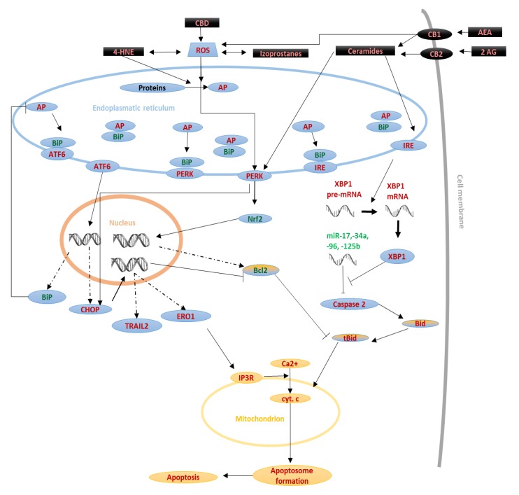PMC7175142 – biomolecules-10-00402-f004