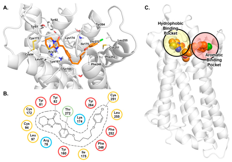 PMC7277601 – biomolecules-10-00686-f002