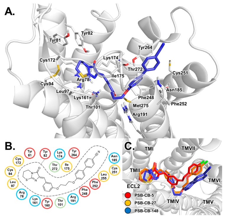 PMC7277601 – biomolecules-10-00686-f006