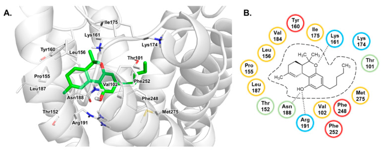 PMC7277601 – biomolecules-10-00686-f008