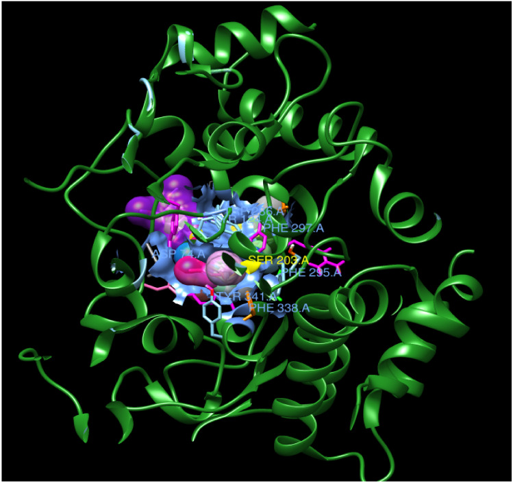 PMC7277636 – biomolecules-10-00758-f003