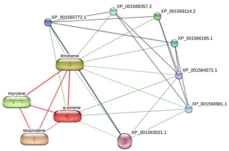 PMC7917915 – biomolecules-11-00272-f006