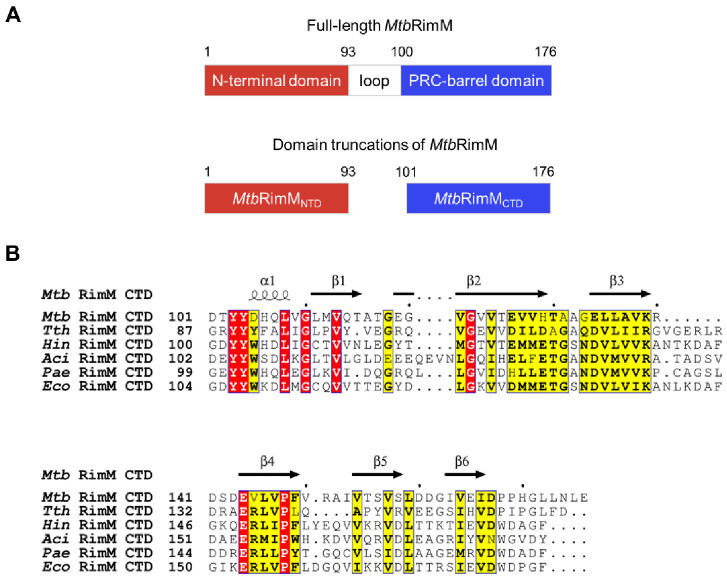 PMC8073977 – biomolecules-11-00597-f001