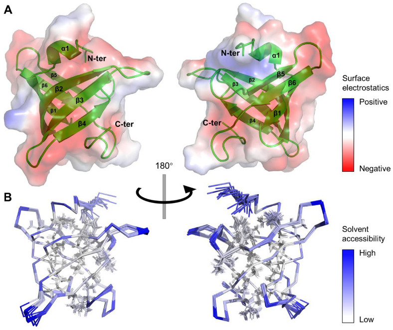 PMC8073977 – biomolecules-11-00597-f002