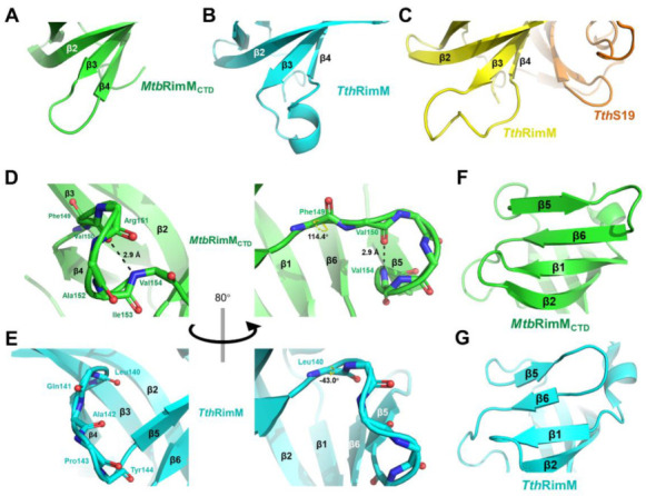 PMC8073977 – biomolecules-11-00597-f003