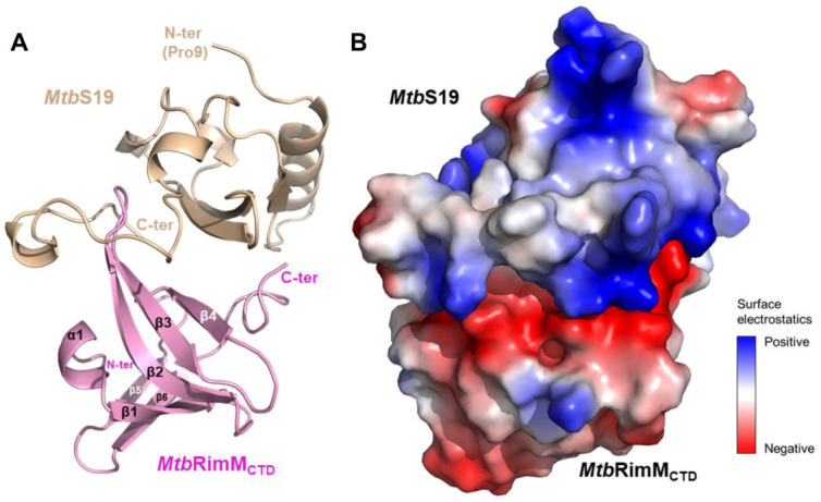 PMC8073977 – biomolecules-11-00597-f008