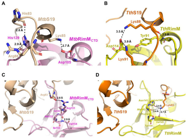 PMC8073977 – biomolecules-11-00597-f009