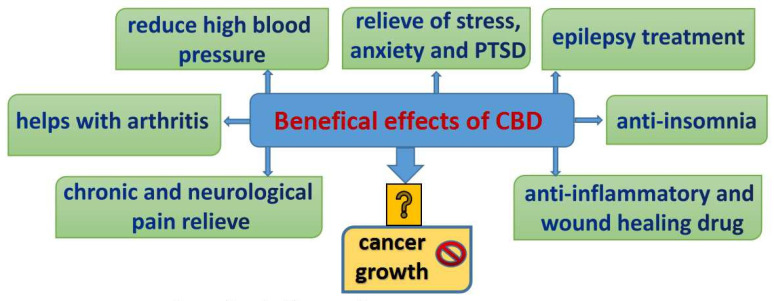 PMC8160970 – biomolecules-11-00766-f001