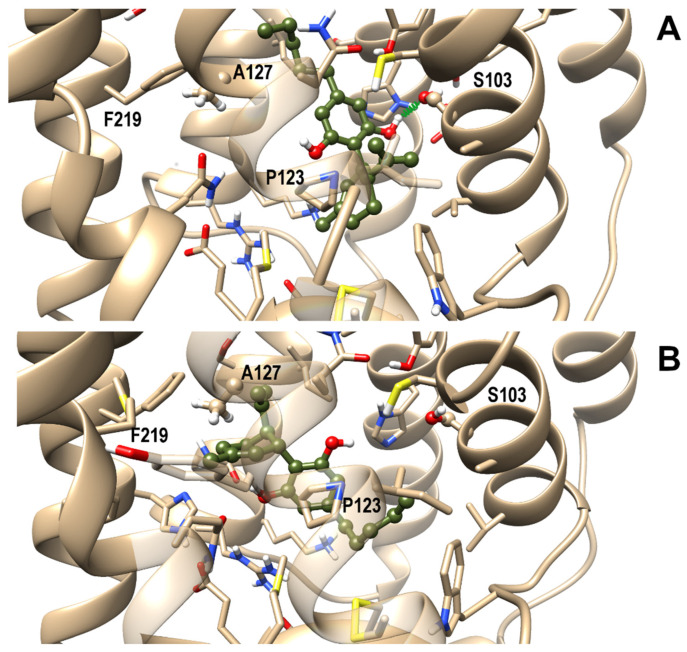 PMC8394412 – biomolecules-11-01134-f007