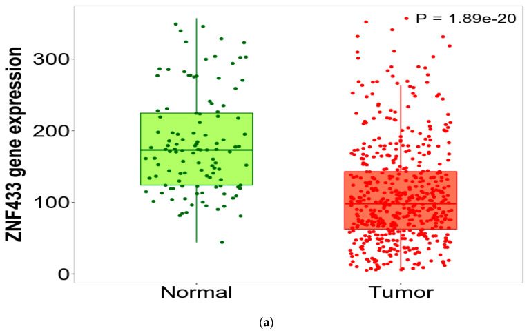 PMC8392881 – biomolecules-11-01193-f001