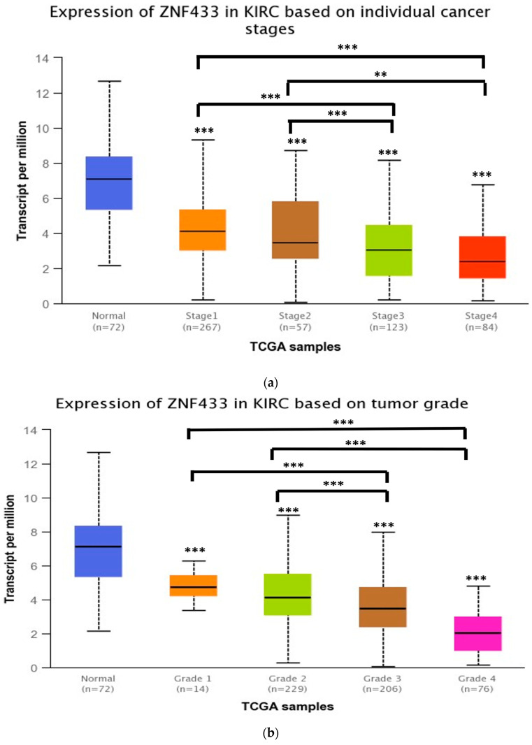 PMC8392881 – biomolecules-11-01193-f002