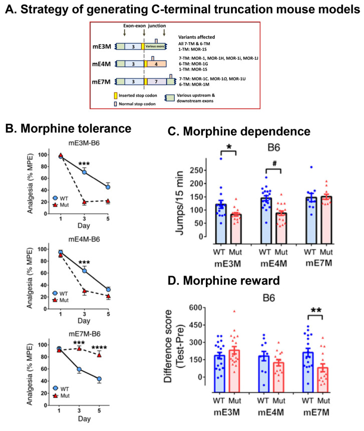 PMC8534031 – biomolecules-11-01525-f004