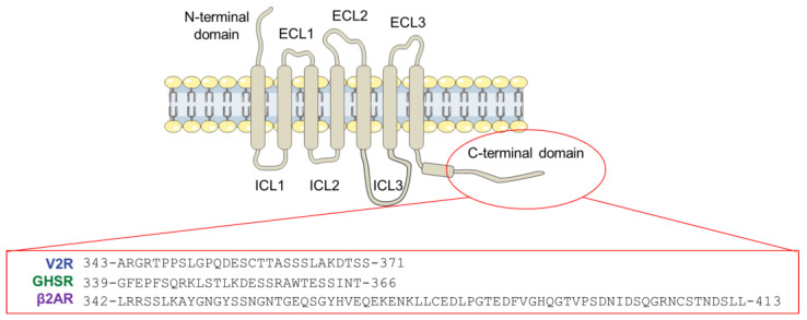 PMC9138321 – biomolecules-12-00617-f001