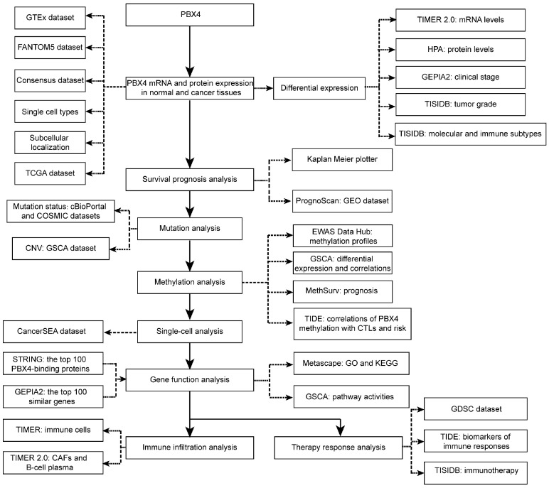 PMC9221482 – biomolecules-12-00822-f001