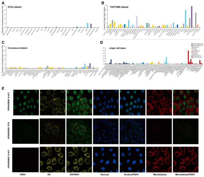 PMC9221482 – biomolecules-12-00822-f002