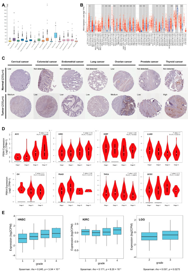 PMC9221482 – biomolecules-12-00822-f003