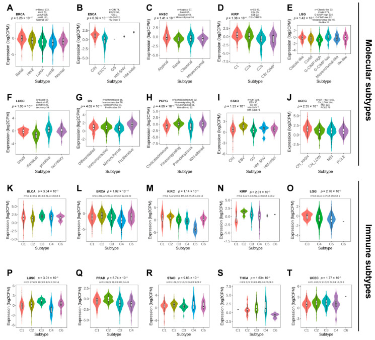 PMC9221482 – biomolecules-12-00822-f004