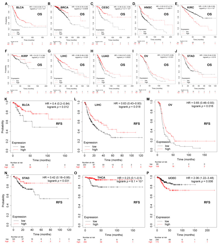 PMC9221482 – biomolecules-12-00822-f005