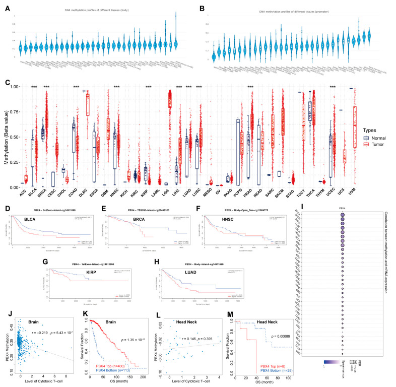PMC9221482 – biomolecules-12-00822-f008