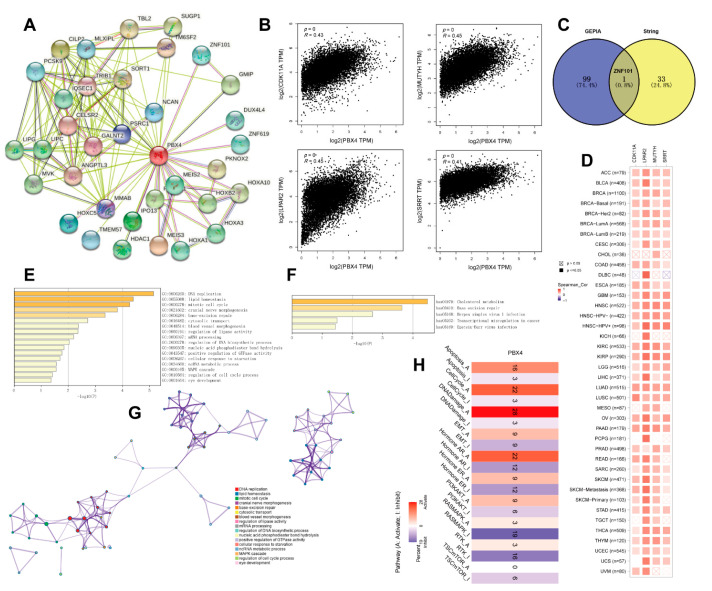 PMC9221482 – biomolecules-12-00822-f010