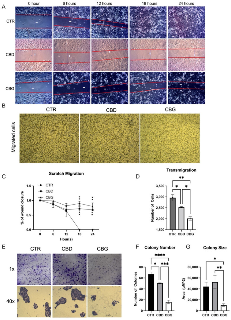 PMC9221388 – biomolecules-12-00854-f002