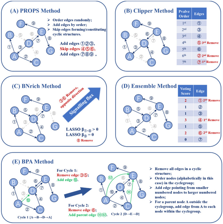 PMC9313337 – biomolecules-12-00906-f002
