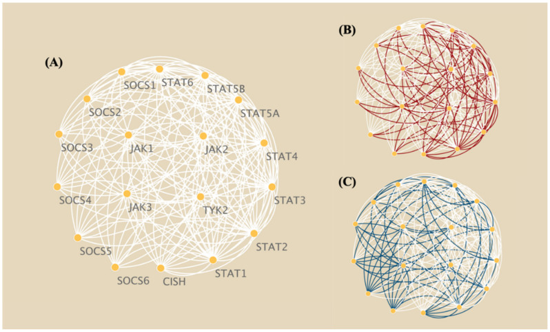 PMC9313337 – biomolecules-12-00906-f004