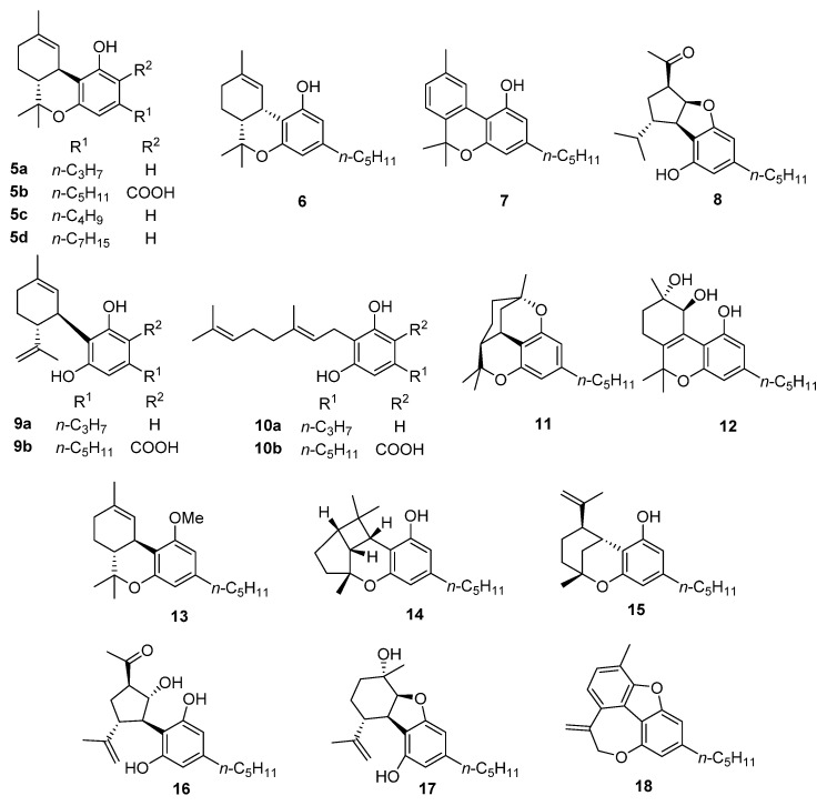 PMC9406211 – biomolecules-12-01084-f002