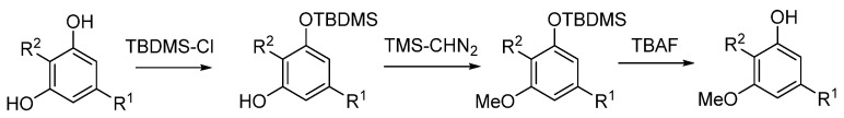 PMC9406211 – biomolecules-12-01084-sch001