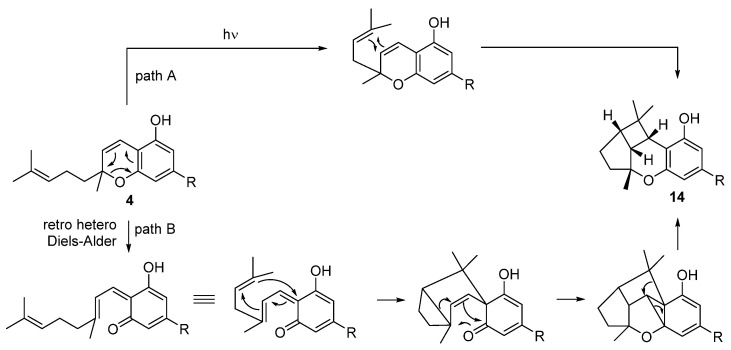 PMC9406211 – biomolecules-12-01084-sch003