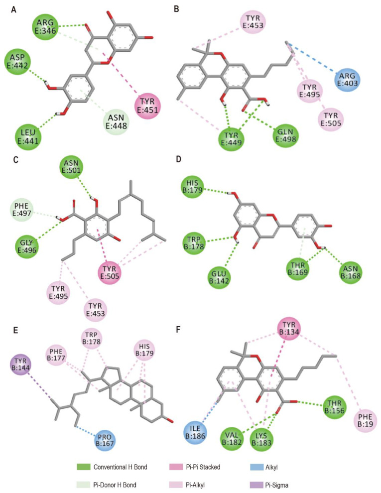 PMC9775500 – biomolecules-12-01729-f001