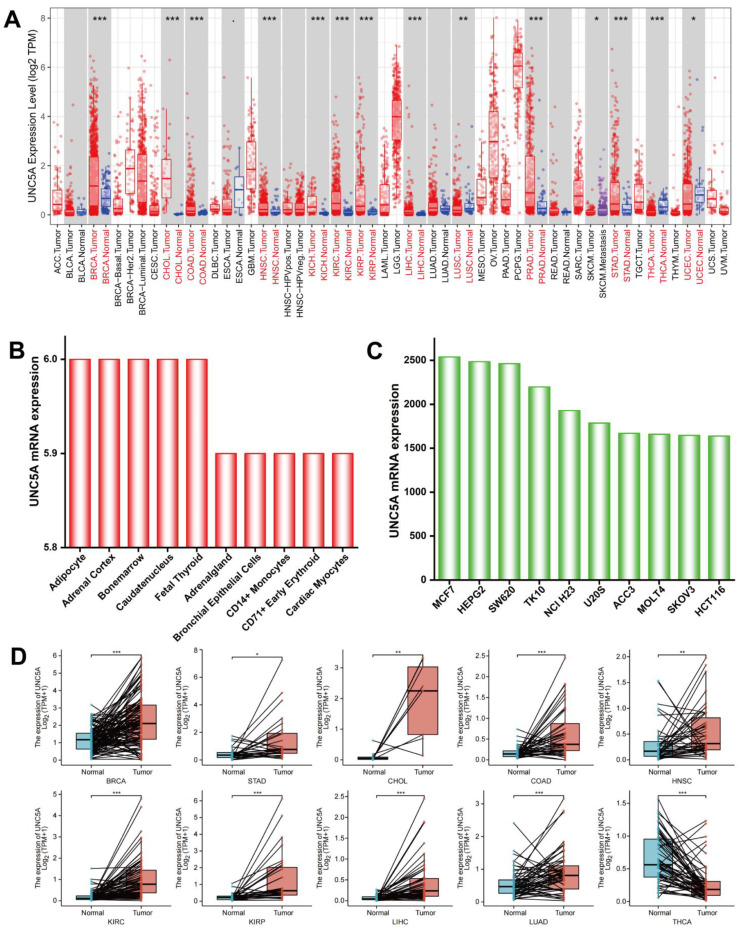 PMC9775303 – biomolecules-12-01826-f001