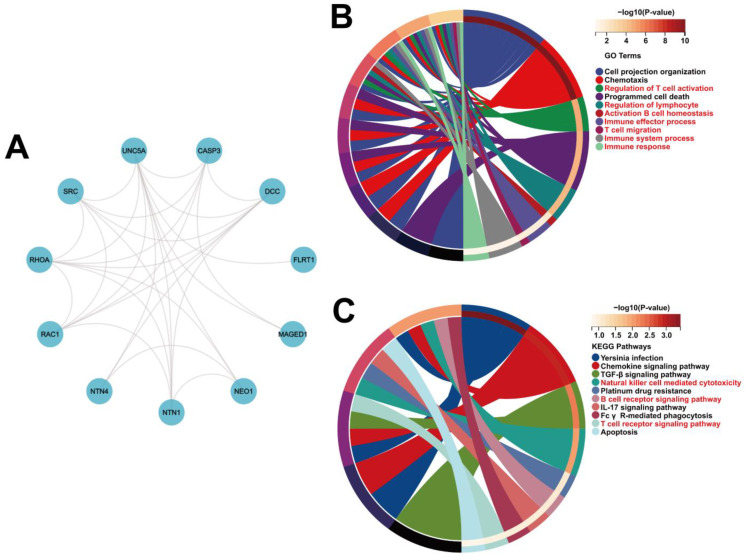 PMC9775303 – biomolecules-12-01826-f007