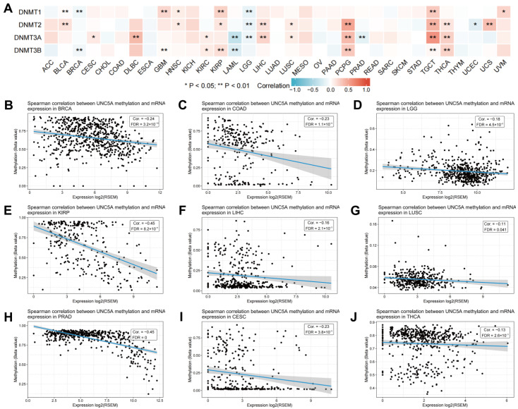 PMC9775303 – biomolecules-12-01826-f011