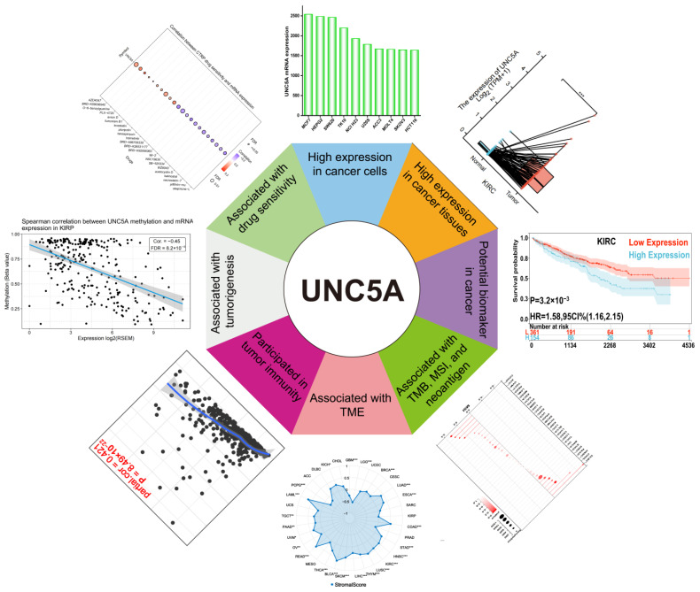 PMC9775303 – biomolecules-12-01826-f013