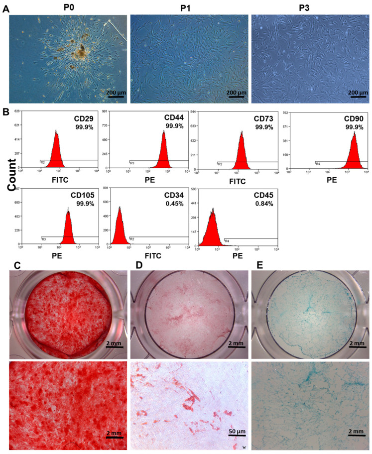 PMC9856031 – biomolecules-13-00118-f001